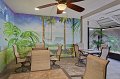 Magic Tree Resort-4367